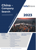 中國-企業一般報告